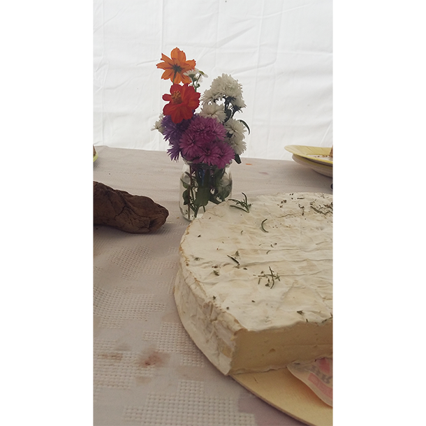 Magali & Lucien - Laura B Mariage - Provence - Sud de la France