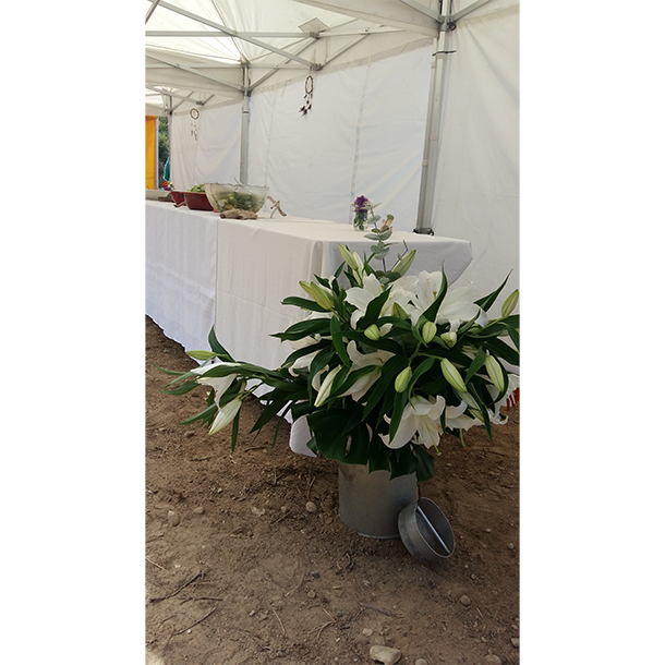 Magali & Lucien - Laura B Mariage - Provence - Sud de la France