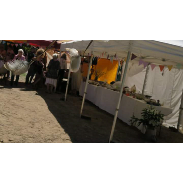 Magali & Lucien - Laura B Mariage - Provence - Sud de la France