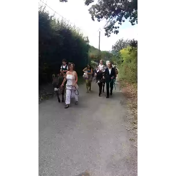 Magali & Lucien - Laura B Mariage - Provence - Sud de la France