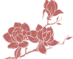 Offre 4 - Laura B Mariage - Provence - Sud de la France